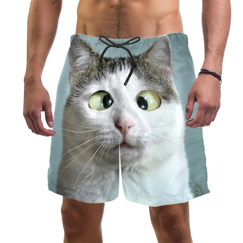 Summer Vacation Clothing Men - Pantaloncini da spiaggia per gatti divertenti