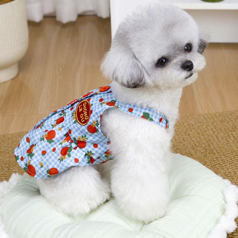 Vestiti Estivi per Cani, Abito - Yellow Summer Clothing recensione e prezzo